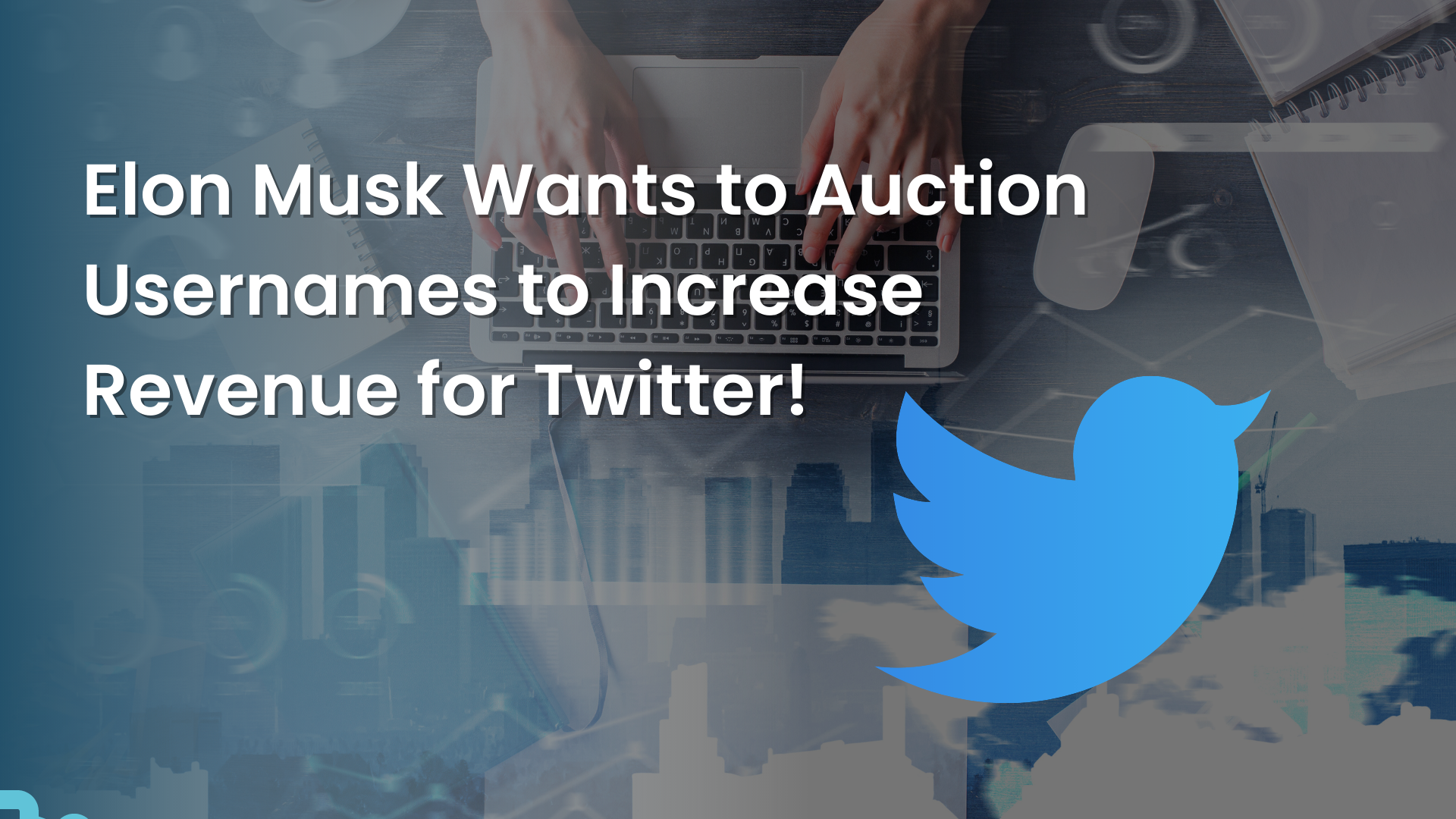 Elon Musk Wants To Auction Usernames To Increase Revenue For Twitter!